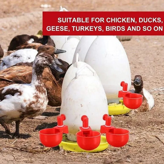 🔥Automatisk vattenkopp för kyckling Fågelkoj