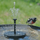 🔥Hot försäljning 50% rabatt🔥🔥Soldrivna fågelfontäner🐦️