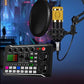 🔥Julkampanj 50% rabatt🔥Live Streaming Audio Set med mikrofon