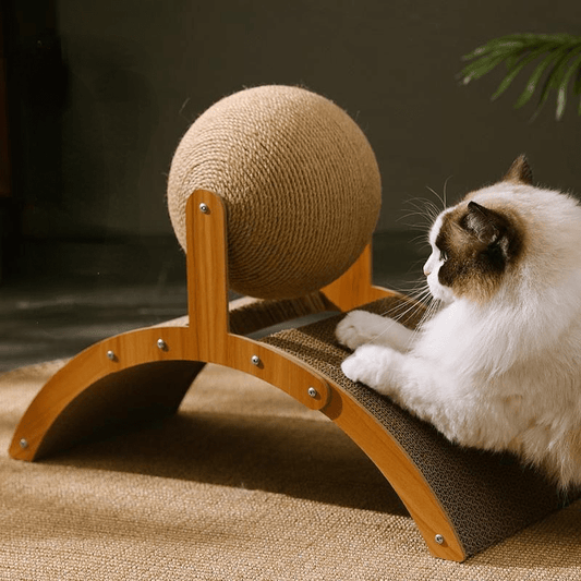 🔥KattklÖsboll Av Naturligt Sisal Med Kartongplatta