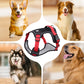 🐕 50% RABATT! 🔦 Dragfri Hundsele med Koppel & LED-halsband – Lindrar Tryck, Mjukt Nylon & Perfekt För Nattliga Promenader Och Träning 🌙