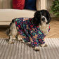 ⏳ TIDSBEGRÄNSAT 50% RABATT! ⏰ Rolig festlig hundtröja med luva – Varm & mjuk hundhoodie för jul & högtider 🐕👕