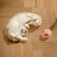 🐱 50 % RABATT! ✨ Smart elektrisk musleksak för katter – undviker hinder, realistisk plyschdesign och USB-C-laddning – tyst 360°-rörelse för oändlig lek 🐭