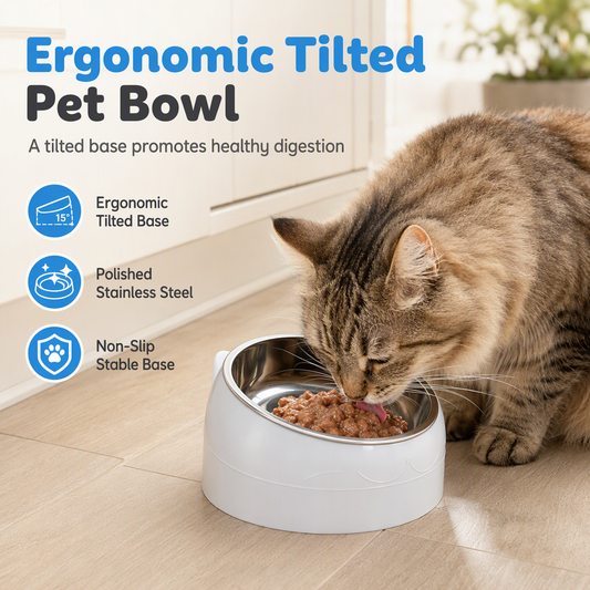 🐱 50% RABATT! ✨ Ergonomisk vinklad matskål i rostfritt stål för katt & liten hund – Skonsam för nacke & rygg