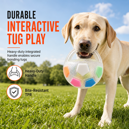 Interactive Dog Soccer Ball Toy with Grab Tabs